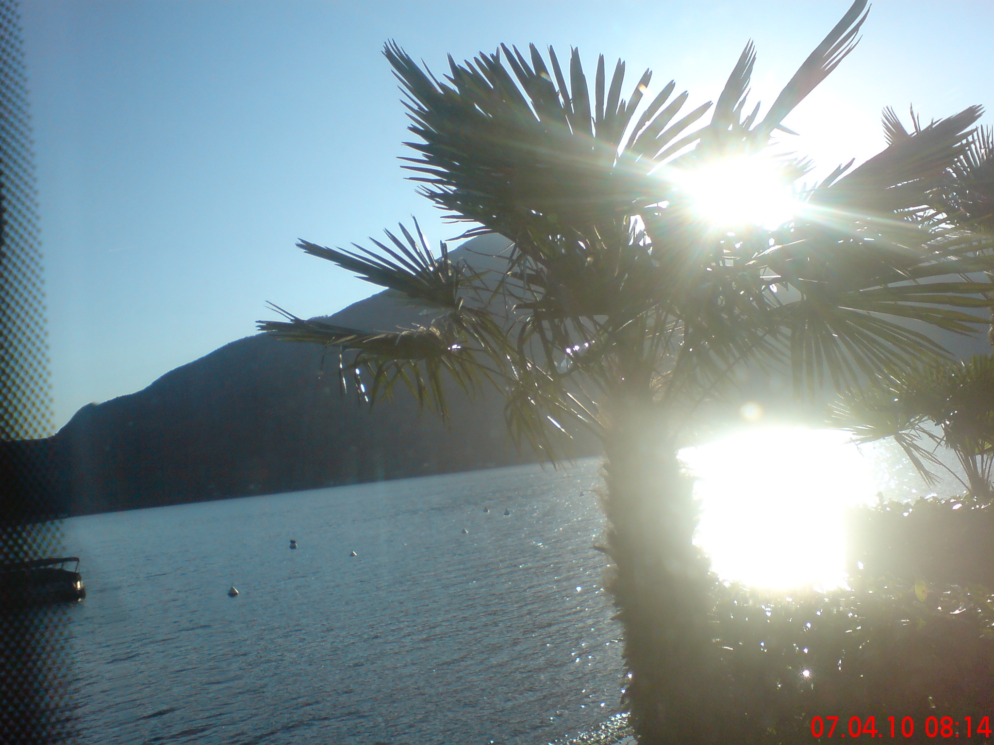 Kopie von DSC03614 Kopie von DSC03614